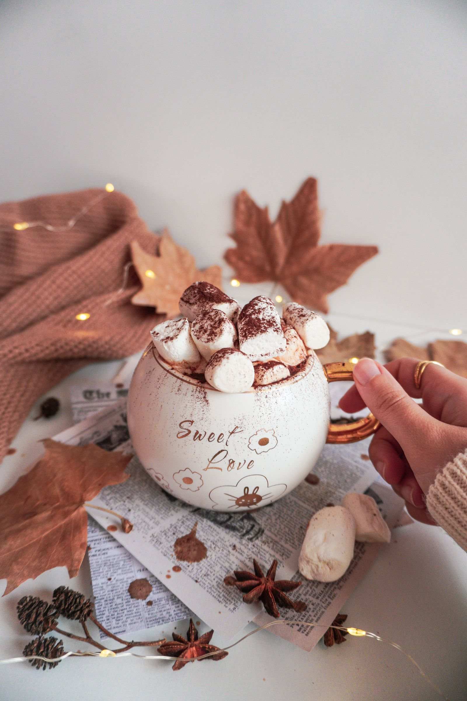 Rich Dark Hot Chocolate — photo 1